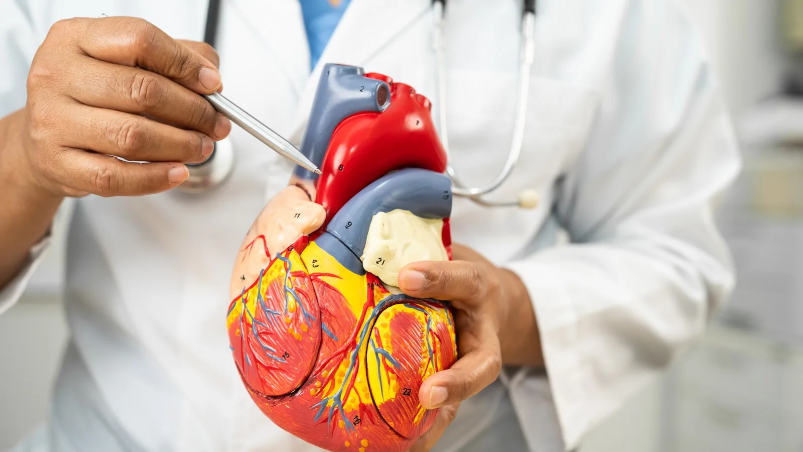 Bloqueo de arterias y atención cardiológica en Coyoacán CDMX